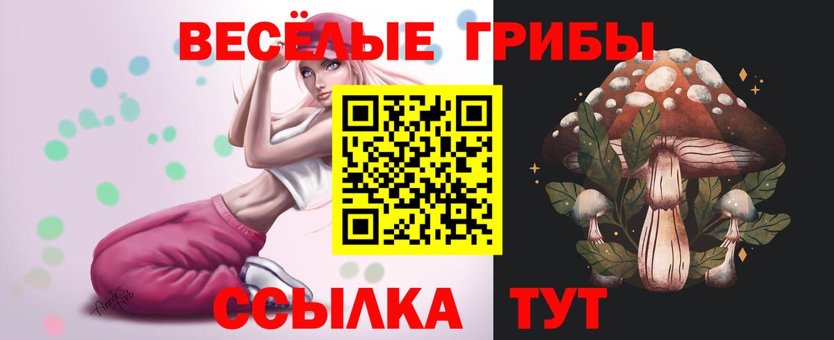 Калач-на-Дону  Псилоцибиновые грибы Cubensis  Вход с VPN 